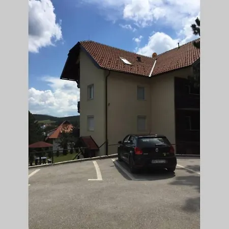 Silver Snowflake - Sa Dvoristem *