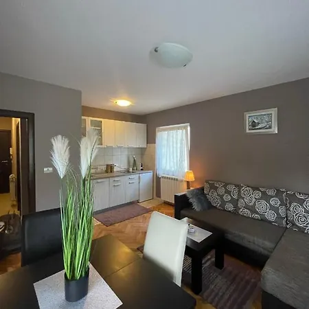 Silver Snowflake - Sa Dvoristem * ズラティボール