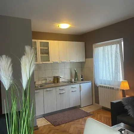 アパート Silver Snowflake - Sa Dvoristem *