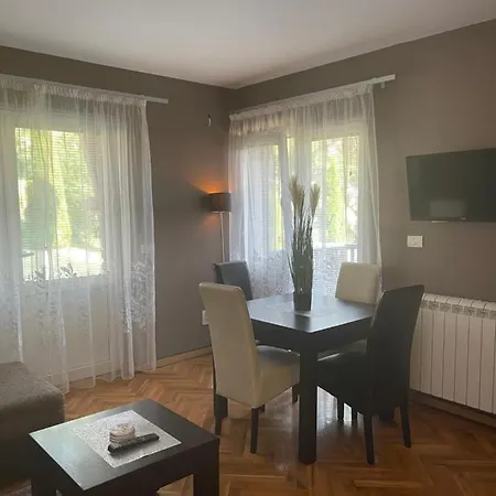 Silver Snowflake - Sa Dvoristem ズラティボール