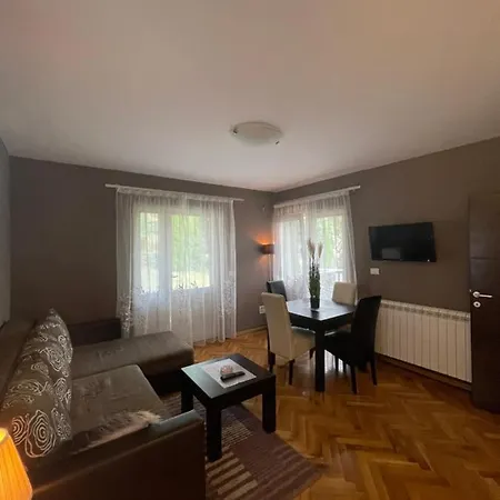 Silver Snowflake - Sa Dvoristem アパート ズラティボール