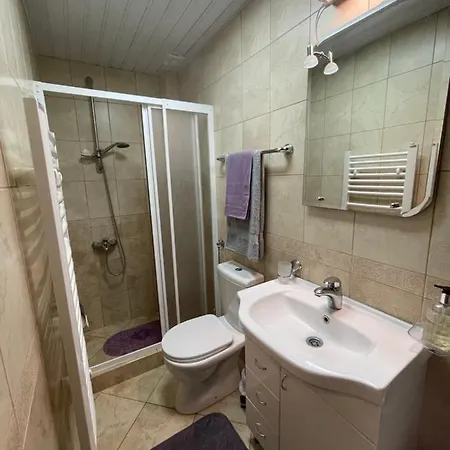 Silver Snowflake - Sa Dvoristem ズラティボール