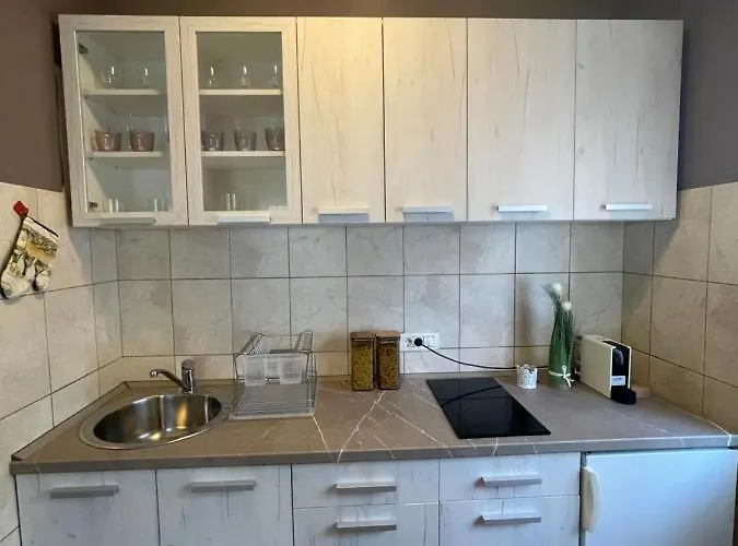 Silver Snowflake - Sa Dvoristem * Zlatibor