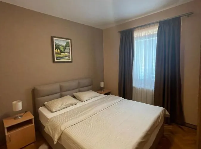 Apartment Silver Snowflake - Sa Dvoristem Zlatibor