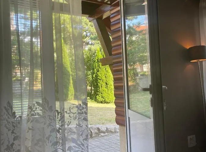 Apartment Silver Snowflake - Sa Dvoristem Zlatibor