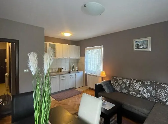 Silver Snowflake - Sa Dvoristem * Zlatibor