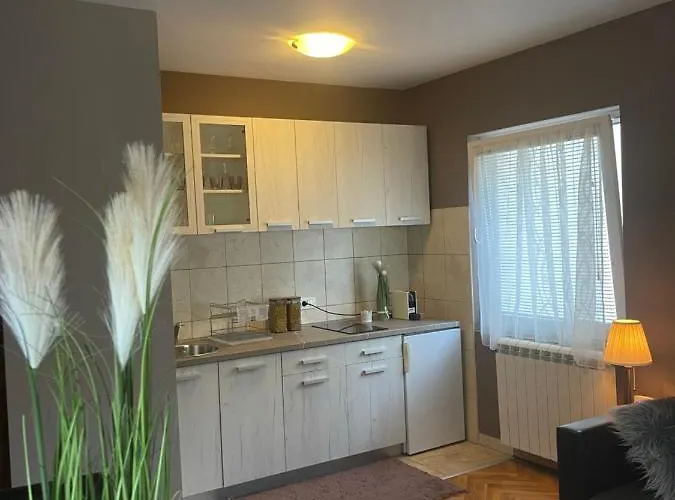 Apartment Silver Snowflake - Sa Dvoristem *