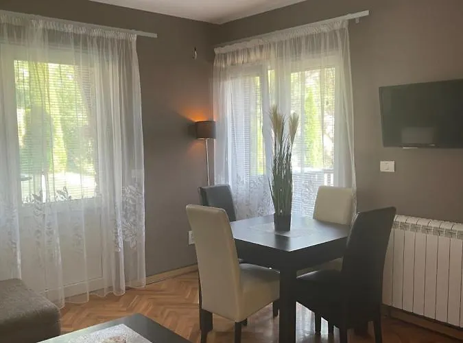 Silver Snowflake - Sa Dvoristem Zlatibor