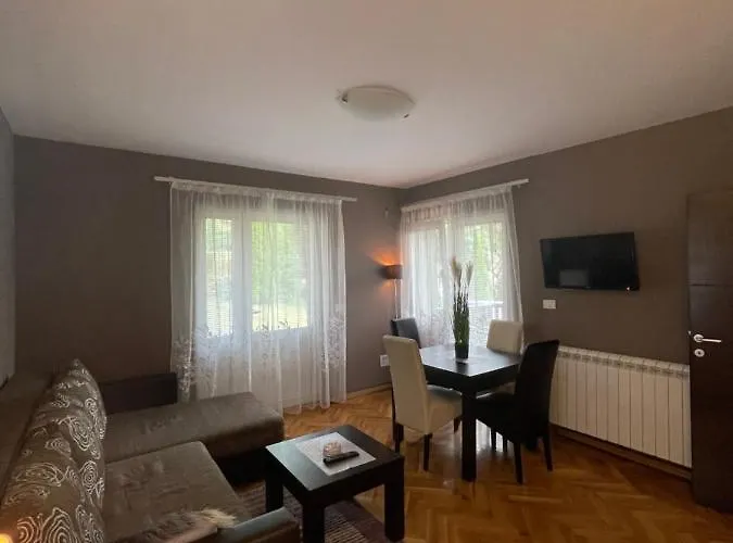 Silver Snowflake - Sa Dvoristem Apartment Zlatibor