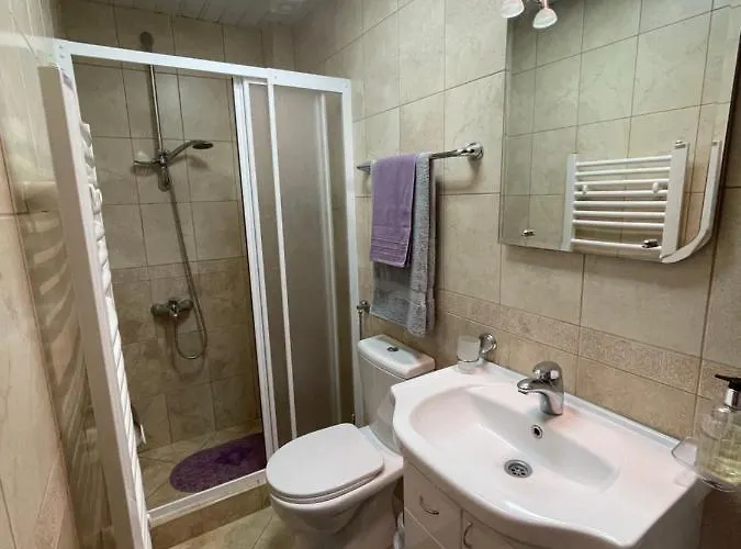 Silver Snowflake - Sa Dvoristem Zlatibor